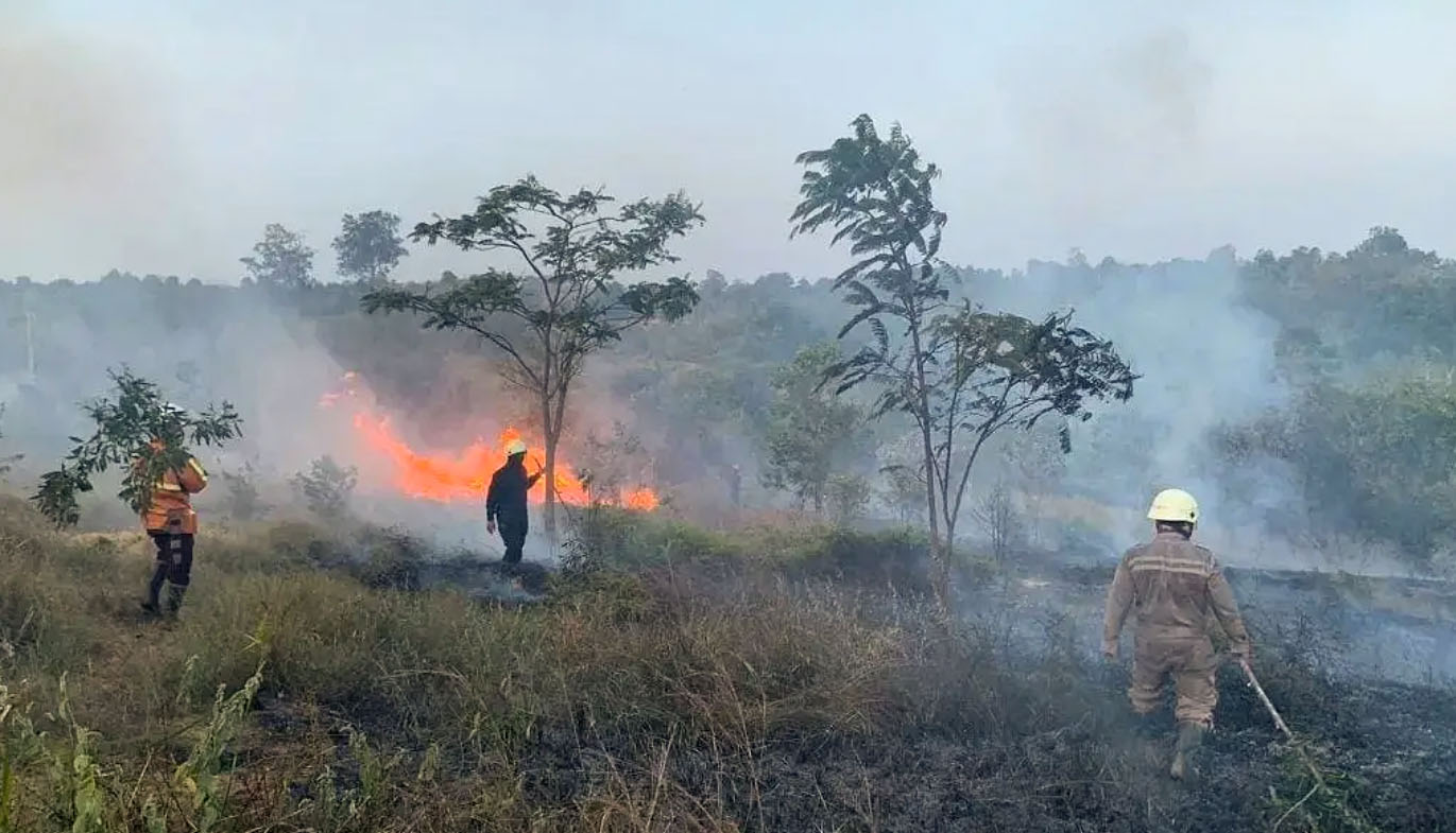 Si Jago Merah Melahap Hutan dan Lahan di Kabupaten Bintan