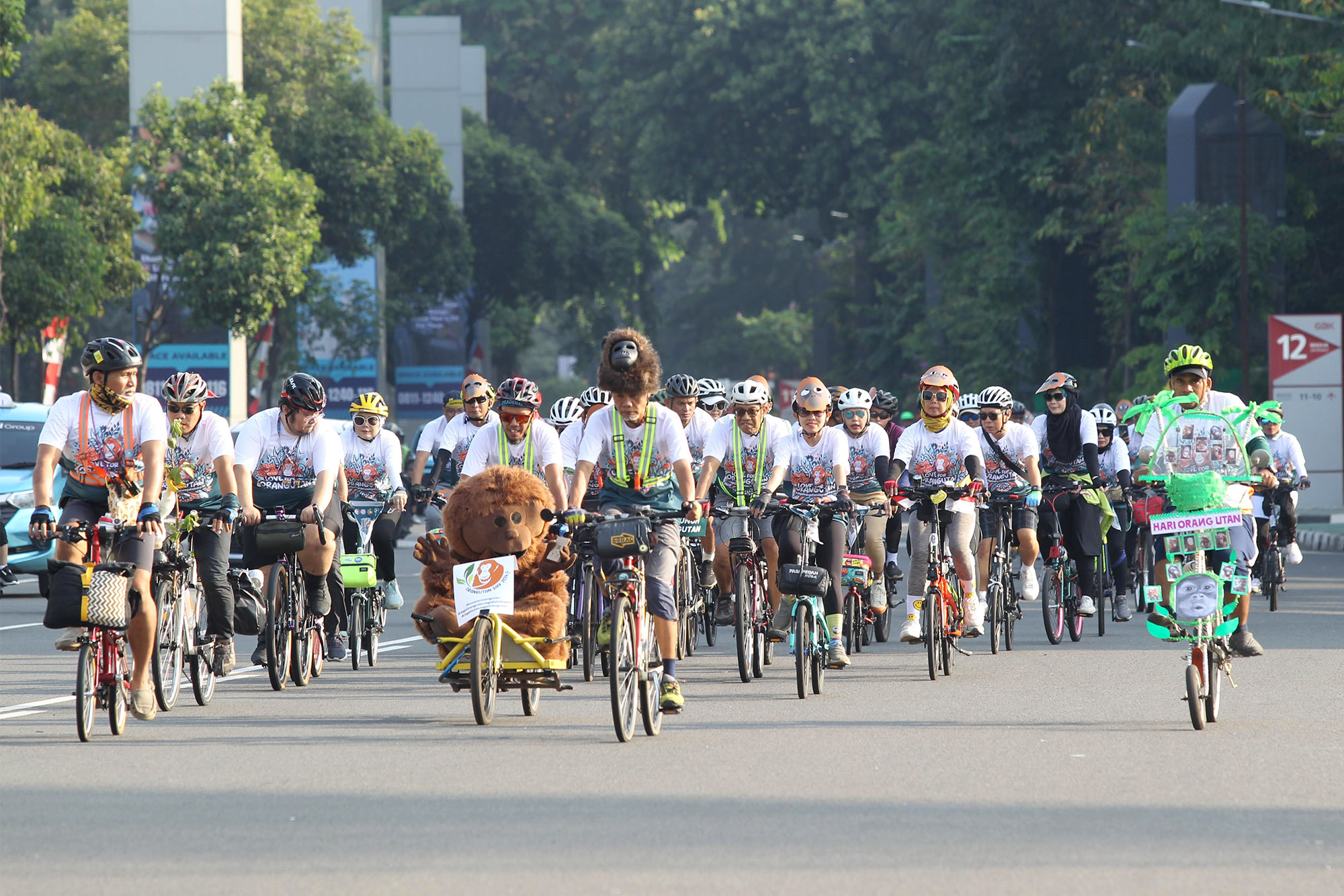 Populasi Semakin Kritis, Ratusan Pesepeda Ajak Masyarakat Jaga Spesies Orangutan
