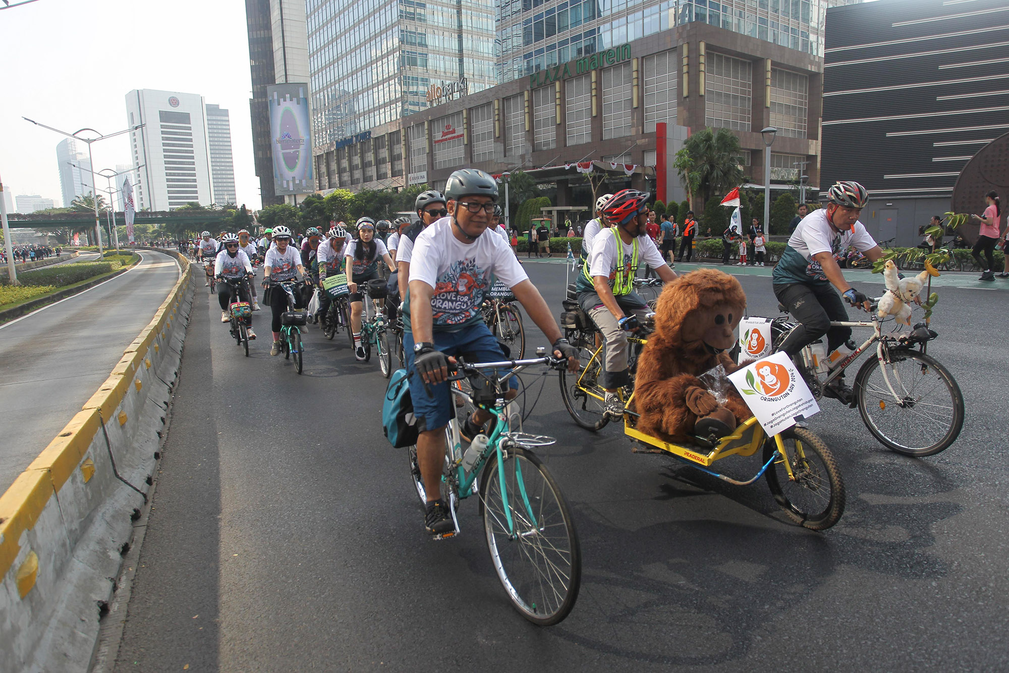 Populasi Semakin Kritis, Ratusan Pesepeda Ajak Masyarakat Jaga Spesies Orangutan
