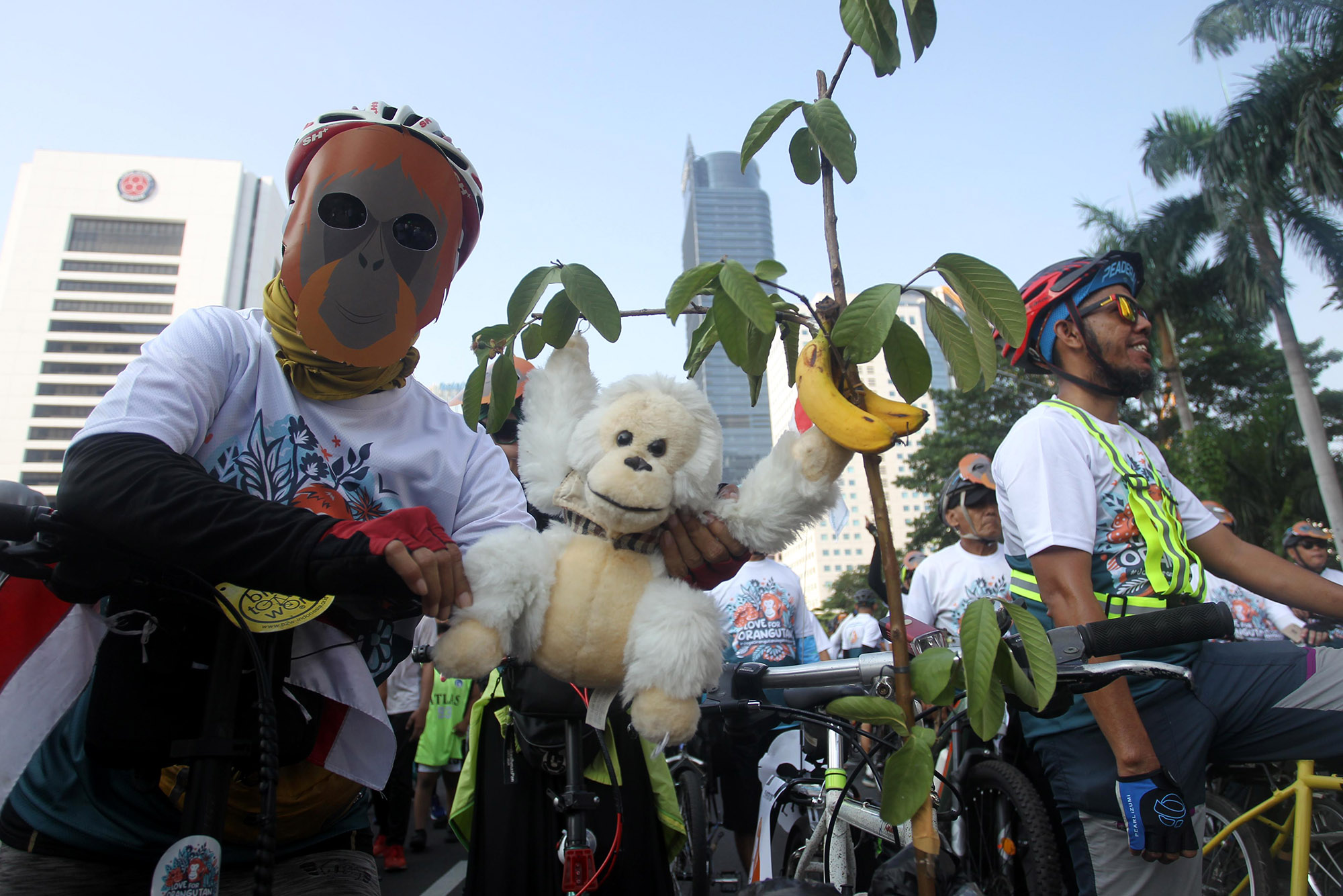 Populasi Semakin Kritis, Ratusan Pesepeda Ajak Masyarakat Jaga Spesies Orangutan
