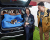 Subaru Dukung Kesejahteraan Hewan Peliharaan di IIPE 2024
