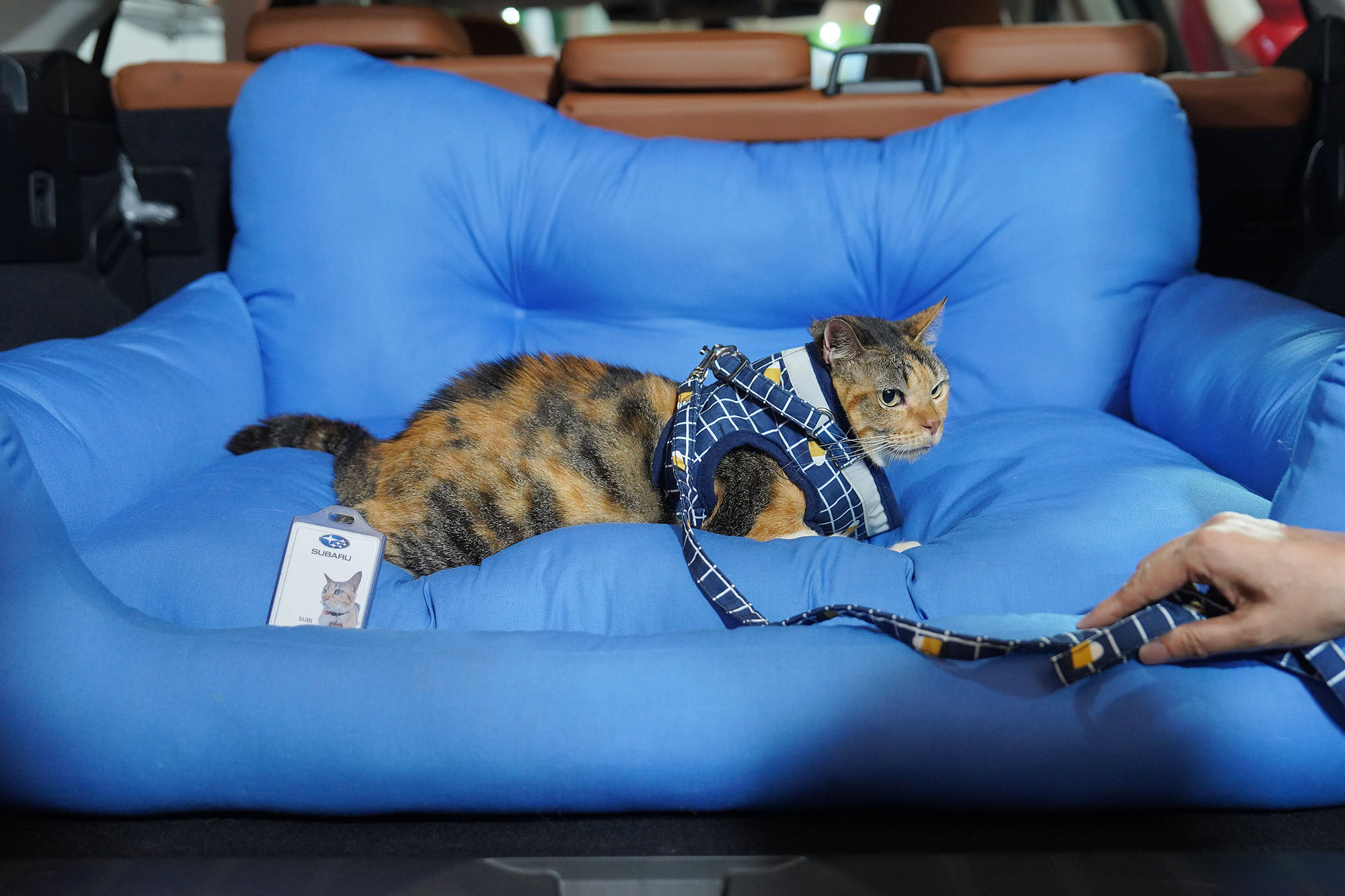 Subaru Dukung Kesejahteraan Hewan Peliharaan di IIPE 2024
