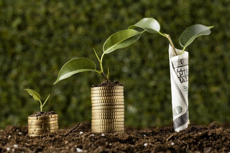Cadangan Devisa Indonesia Oktober 2024 Naik, Tembus 151,2 Miliar Dolar AS