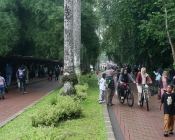 Taman Margasatwa Ragunan Diserbu 60 Ribu Pengunjung
