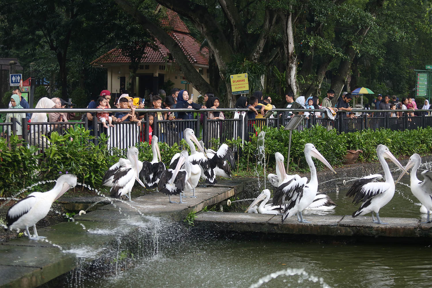 Taman Margasatwa Ragunan Diserbu 60 Ribu Pengunjung
