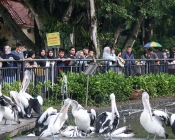 Taman Margasatwa Ragunan Diserbu 60 Ribu Pengunjung
