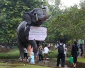 Taman Margasatwa Ragunan Diserbu 60 Ribu Pengunjung
