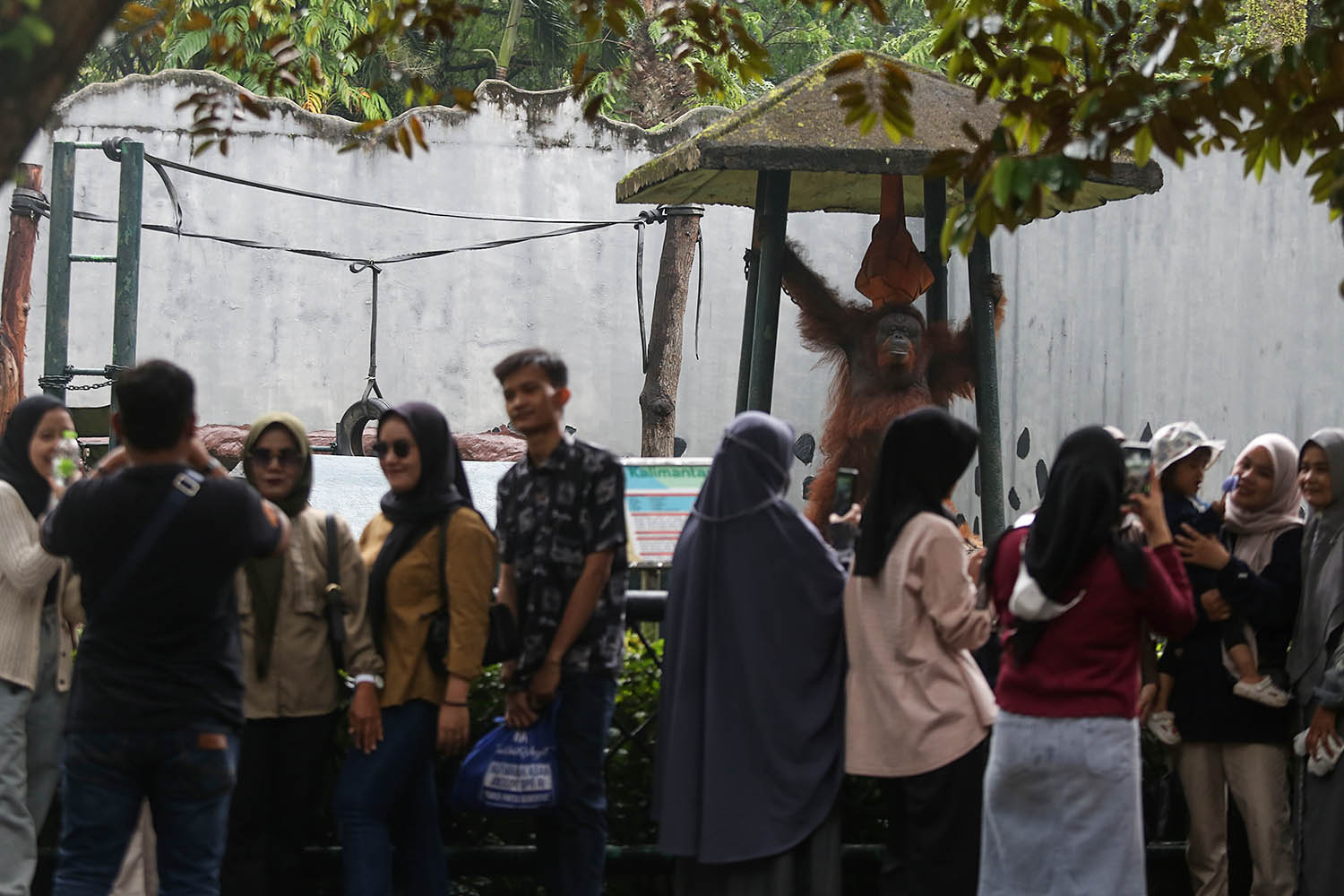 Taman Margasatwa Ragunan Diserbu 60 Ribu Pengunjung
