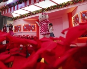 Sambut Natal dengan Perayaan Ulang Tahun Hello Kitty di Lippo Mall Puri
