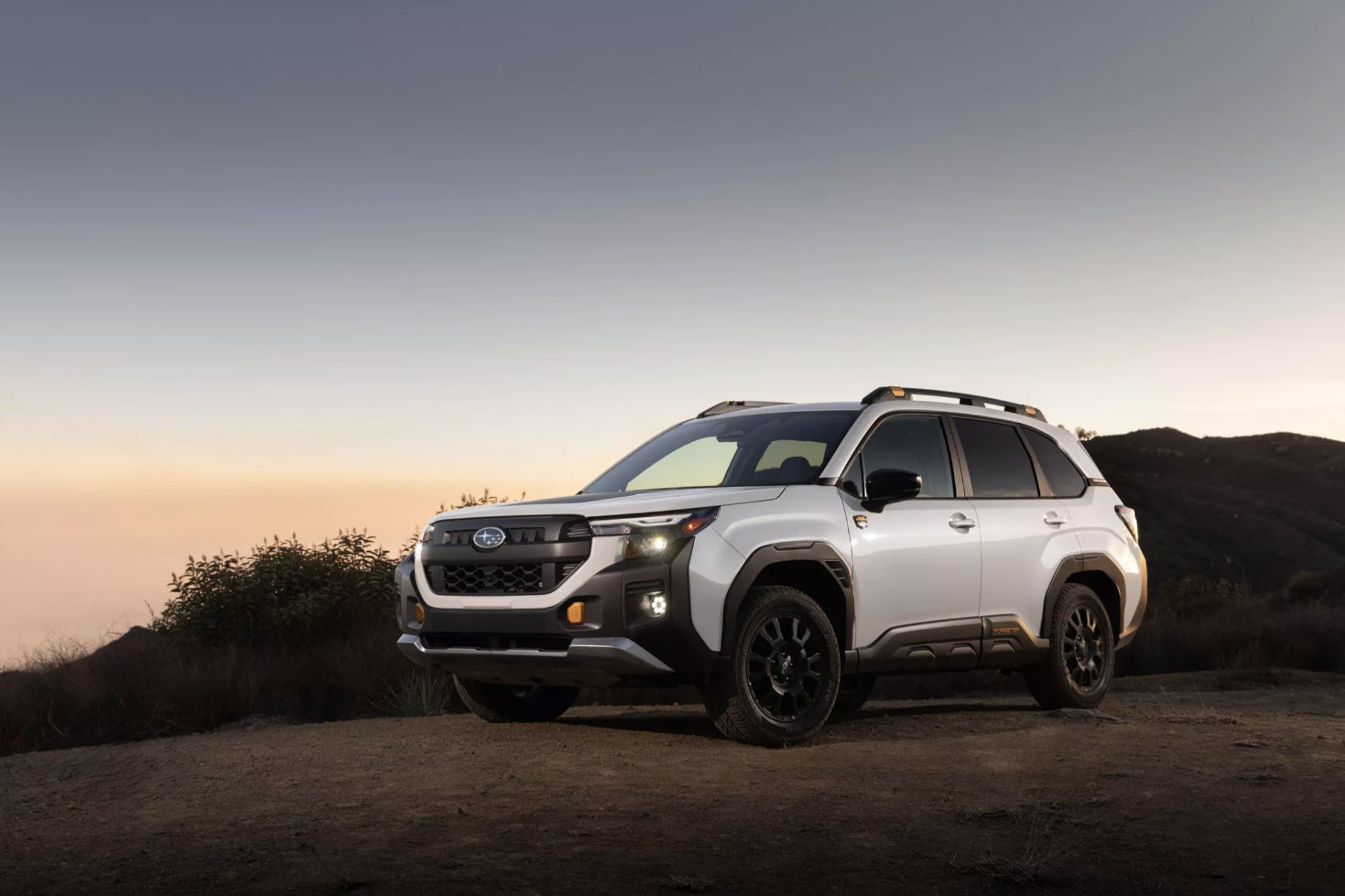 Subaru Forester Hybrid dan Wilderness Mengaspal di Amerika, Performa Lebih Irit dan Siap Jelajah Alam