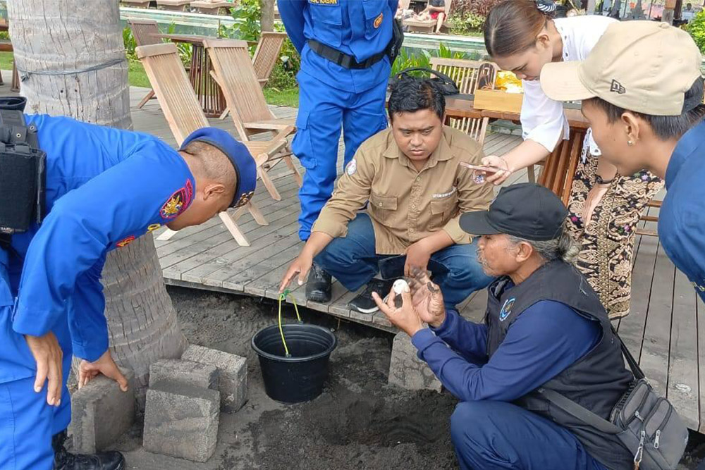 Konservasi Penyu: Sat Polairud Buleleng Evakuasi 106 Telur di Pantai Tukad Mungga