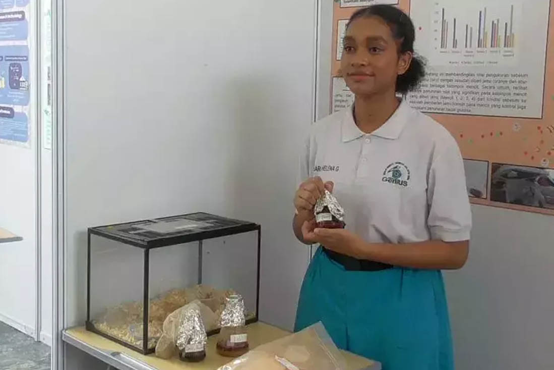 Maria Helena, Pelajar Papua Sulap Biji Pinang Jadi Jamu Penurun Gula Darah