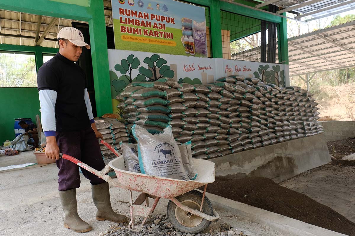 Inovasi Hijau Bumi Kartini, 879 Perempuan Desa Ngampel Ubah Limbah Sapi Jadi Pupuk