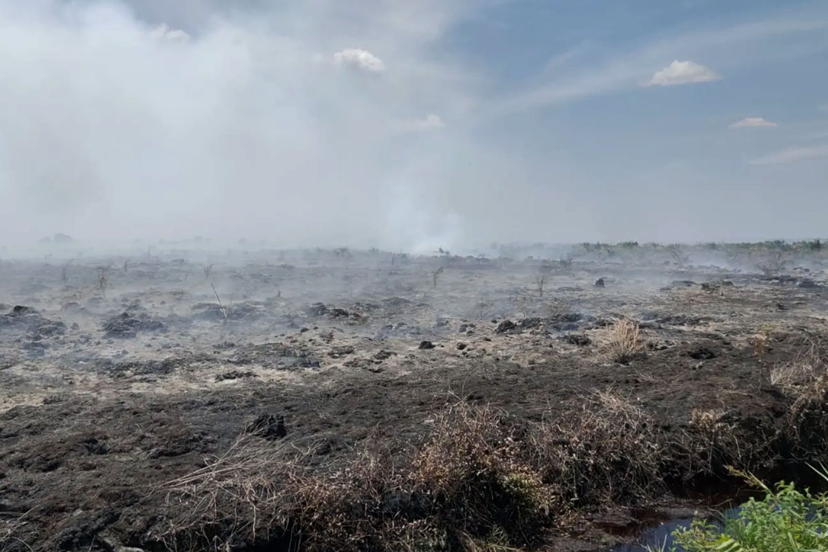 Kapolda Riau Ancam Tindak Tegas Pelaku Karhutla di Rokan Hilir