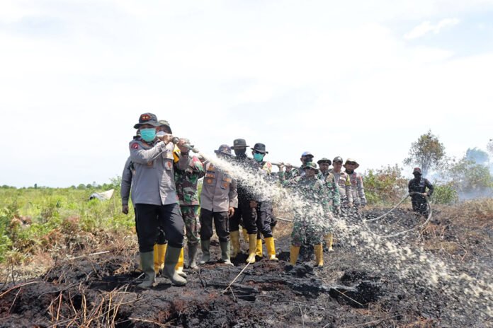 Kapolda Riau Ancam Tindak Tegas Pelaku Karhutla di Rokan Hilir