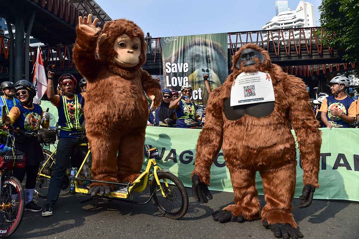 Terancam Punah, Ratusan Pesepeda Turun ke Jalan Gaungkan “Save, Love, Protect Orangutan”