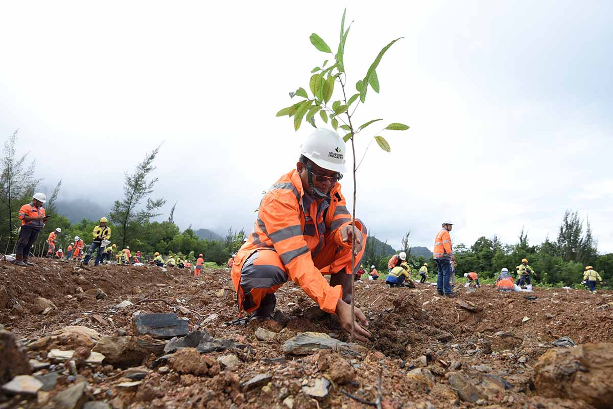 SIG Reklamasi 507 Hektare Pascatambang untuk Konservasi dan Lingkungan