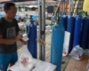 Rahasia Sukses Peternak Ikan Mas Koki yang Menembus Pasar Global
