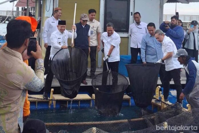 Panen 1,5 Ton Ikan Kerapu, Kepulauan Seribu Siap Jadi Lumbung Pangan Laut Nasional Panen 1,5 Ton Ikan Kerapu, Kepulauan Seribu Siap Jadi Lumbung Pangan Laut Nasional