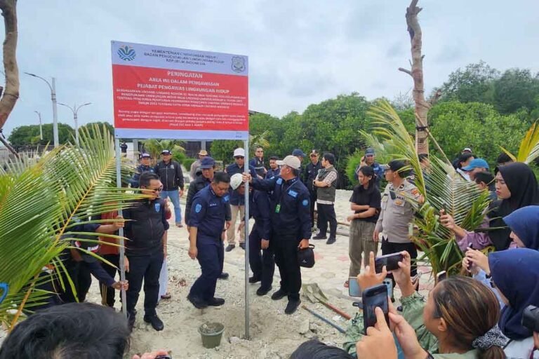 Pulau Pari Rusak Parah, Warga dan Pemerintah Kompak Rehabilitasi Mangrove