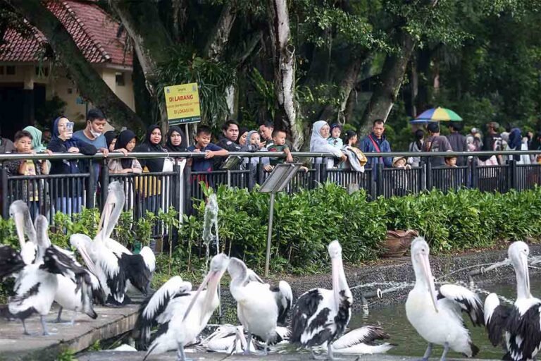 Libur Natal, Ragunan Diserbu 50 Ribu Lebih Wisatawan dalam Sehari