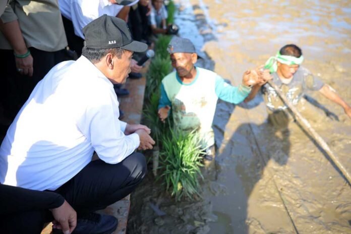 Mentan Amran Gerakkan Padat Karya, Rehabilitasi Sawah Target 3 Bulan Mentan Amran Gerakkan Padat Karya, Rehabilitasi Sawah Target 3 Bulan