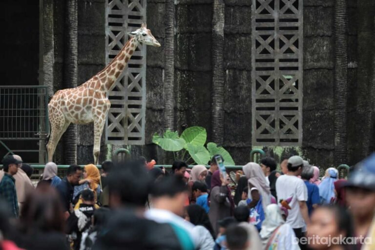 Libur Nataru, Pengunjung Taman Margasatwa Ragunan Tembus 408 Ribu Orang