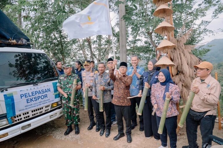 Tembus 3 Negara, Gula Aren Organik Pacitan Diekspor 11 Ton