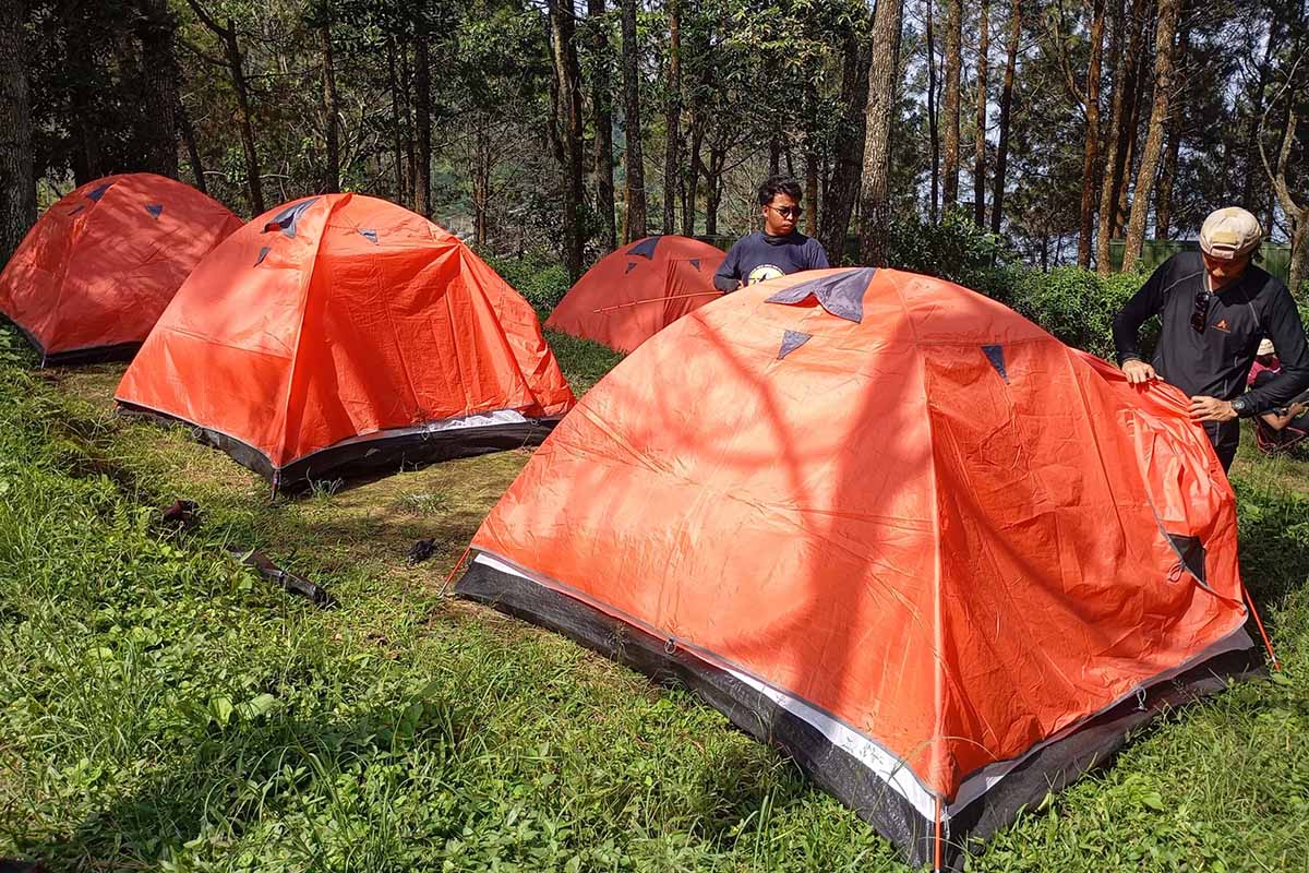 Wisata Alam Naik Daun, Jateng Butuh Banyak Pemandu Gunung Profesional