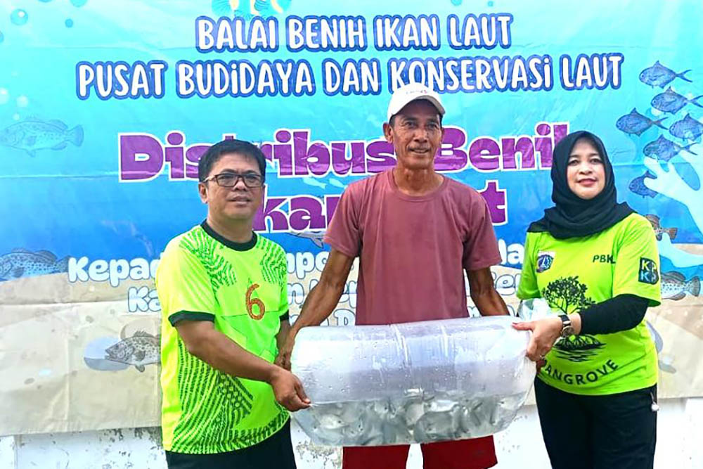 Ribuan Benih Kakap dan Kerapu Dibagikan, Budidaya Laut Kepulauan Seribu Digenjot