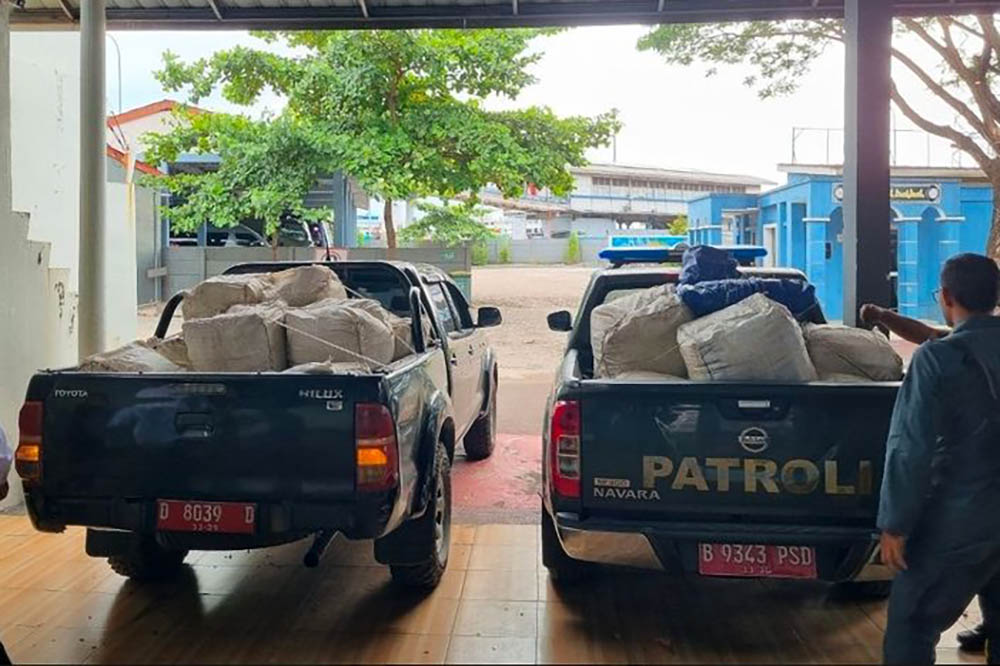 Modus Baru Terbongkar, 3 Ton Sisik Trenggiling Diselundupkan ke Kamboja