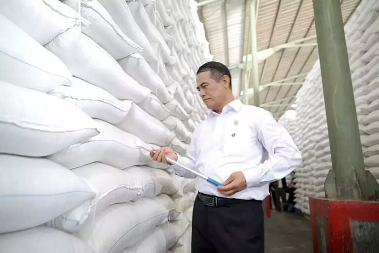 FAO Sebut Indonesia Produsen Beras Terbesar di Asia Tenggara, Ini Kuncinya