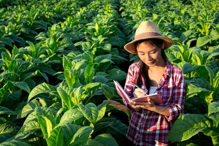 Petani Tembakau Turun ke Jalan Desak PP 28/2024 Dikaji Ulang