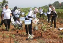 Bluebird Ubah Perjalanan Pelanggan Menjadi Gerakan Pelestarian Lingkungan Bluebird Ubah Perjalanan Pelanggan Menjadi Gerakan Pelestarian Lingkungan