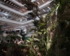 Petualangan Seru Explore The Jungle di Mal Ciputra Jakarta