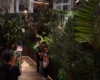 Petualangan Seru Explore The Jungle di Mal Ciputra Jakarta