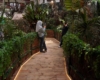 Petualangan Seru Explore The Jungle di Mal Ciputra Jakarta