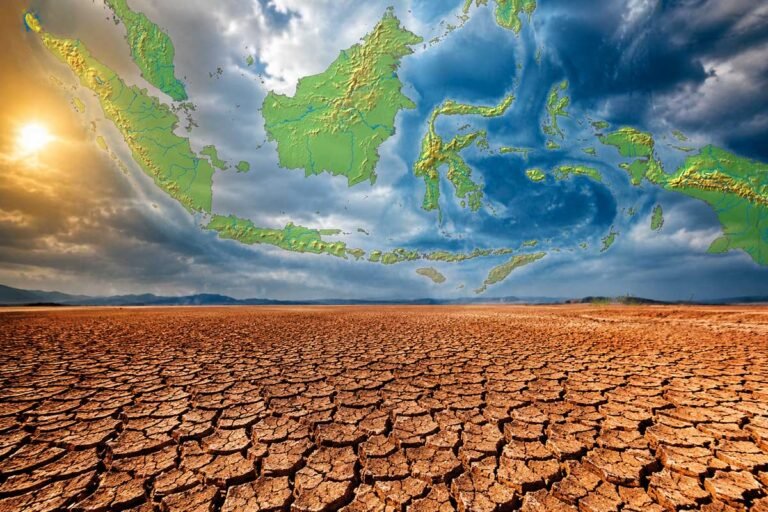 El Nino Semakin Kuat Kemarau 2026 Bakal Panjang, BMKG Ungkap Wilayah Terdampak