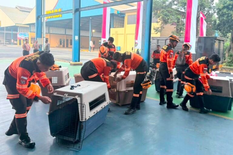 Polri Kerahkan 10 Anjing K9 ke Flores, Misi Khusus Cari Korban Gempa Dimulai