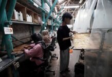 Limbah Jadi Material Masa Depan, Parongpong RAW Lab dan MYCL Buka Peluang Ekonomi Baru Limbah Jadi Material Masa Depan, Parongpong RAW Lab dan MYCL Buka Peluang Ekonomi Baru