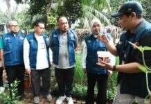 Jakarta Barat Mulai Perangi DBD dengan Wolbachia, Ribuan Orang Tua Asuh Disiapkan Jakarta Barat Mulai Perangi DBD dengan Wolbachia, Ribuan Orang Tua Asuh Disiapkan