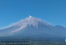 Gunung Semeru Kembali Erupsi, Warga Diminta Jauhi Zona Ini Gunung Semeru Kembali Erupsi, Warga Diminta Jauhi Zona Ini