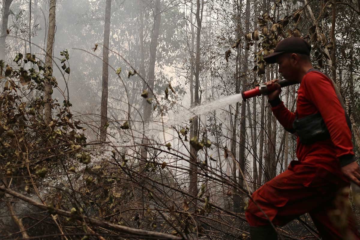 Palangka Raya Dikepung Asap Karhutla, Kulitas Udara Memburuk