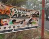 Kabut Asap Karhutla Mengancam Pernapasan, Rumah Oksigen Jadi Tempat Perlindungan Warga